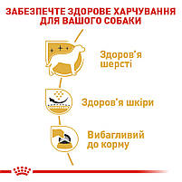 Корм для дорослих собак породи Вест-Хайленд-Уайт-тер'єр ROYAL CANIN WESTIE ADULT 3.0 кг, 3 кг, фото 5