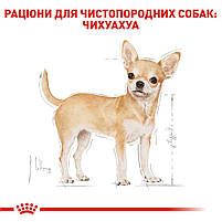 Вологий корм для дорослих собак ROYAL CANIN CHIHUAHUA ADULT 0.085 кг, 0.085 кг, фото 3