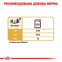 Вологий корм для дорослих собак ROYAL CANIN CHIHUAHUA ADULT 0.085 кг, 0.085 кг, фото 7