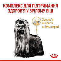 Корм для зрілих собак породи Йоркшир-тер'єр ROYAL CANIN YORKSHIRE TERRIER AGEING 8+(віком від 8 років) 1.5 кг, 1.5 кг, фото 4