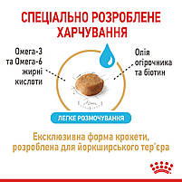 Корм для зрілих собак породи Йоркшир-тер'єр ROYAL CANIN YORKSHIRE TERRIER AGEING 8+(віком від 8 років) 1.5 кг, 1.5 кг, фото 5