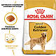 Корм для дорослих собак породи Золотистий ретривер ROYAL CANIN GOLDEN RETRIEVER ADULT 12.0 кг, 12 кг, фото 3