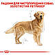Корм для дорослих собак породи Золотистий ретривер ROYAL CANIN GOLDEN RETRIEVER ADULT 12.0 кг, 12 кг, фото 4