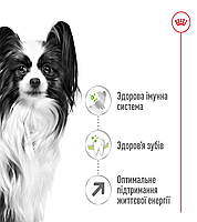 Корм для дорослих собак ROYAL CANIN XSMALL ADULT 8+(віком від 8 років) 3 кг, 3 кг, фото 3