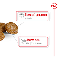 Корм для дорослих собак ROYAL CANIN XSMALL ADULT 8+(віком від 8 років) 3 кг, 3 кг, фото 4