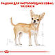 Вологий корм для дорослих собак ROYAL CANIN CHIHUAHUA ADULT 0.085 кг, 0.085 кг, фото 4
