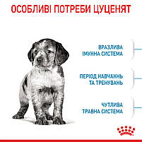 Корм для цуценят середніх порід ROYAL CANIN MEDIUM PUPPY 4.0 кг, фото 4