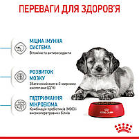 Корм для цуценят середніх порід ROYAL CANIN MEDIUM PUPPY 4.0 кг, фото 5