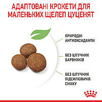 Корм для цуценят гігантських порід ROYAL CANIN GIANT PUPPY 15.0 кг, фото 5