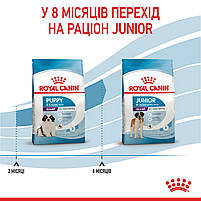 Корм для цуценят гігантських порід ROYAL CANIN GIANT PUPPY 15.0 кг, фото 8