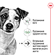 Корм для зрілих (старіючих) собак похилого віку дрібних порід ROYAL CANIN MINI AGEING 12+(від 12 років) 0.8 кг, 0.8 кг, фото 3