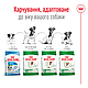 Корм для зрілих (старіючих) собак похилого віку дрібних порід ROYAL CANIN MINI AGEING 12+(від 12 років) 0.8 кг, 0.8 кг, фото 6