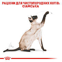 Корм для дорослих котів породи Сіамська ROYAL CANIN SIAMESE ADULT 0.4 кг, 0.4 кг, фото 4