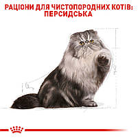 Корм дл дорослих котів породи Персидська ROYAL CANIN PERSIAN ADULT 2.0 кг, 2 кг, фото 4