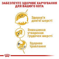 Корм дл дорослих котів породи Персидська ROYAL CANIN PERSIAN ADULT 2.0 кг, 2 кг, фото 6