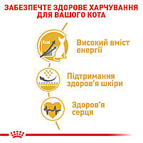 Корм для дорослих котів породи Сфінкс ROYAL CANIN SPHYNX ADULT 2.0 кг, фото 5