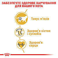 Корм для дорослих котів породи Британська короткошерста ROYAL CANIN BRITISH SHORTHAIR ADULT 2.0 кг, фото 6