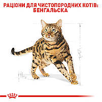 Корм для дорослих котів породи Бенгальська ROYAL CANIN BENGAL ADULT 2.0 кг, 2 кг, фото 4