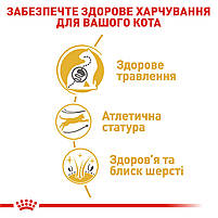 Корм для дорослих котів породи Бенгальська ROYAL CANIN BENGAL ADULT 2.0 кг, 2 кг, фото 6