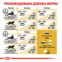 Корм для дорослих котів породи Бенгальська ROYAL CANIN BENGAL ADULT 2.0 кг, 2 кг, фото 8