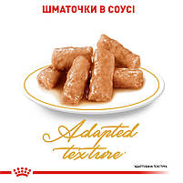 Вологий корм для дорослих котів ROYAL CANIN BRITISH SHORTHAIR ADULT 0.085 кг, 0.085 кг, фото 4