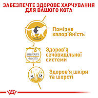 Вологий корм для дорослих котів ROYAL CANIN BRITISH SHORTHAIR ADULT 0.085 кг, 0.085 кг, фото 5