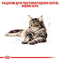Вологий корм для дорослих котів ROYAL CANIN MAINECOON ADULT 0.085 кг, 0.085 кг, фото 4