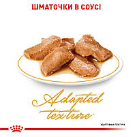 Вологий корм для дорослих котів ROYAL CANIN MAINECOON ADULT 0.085 кг, 0.085 кг, фото 5