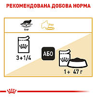 Вологий корм для дорослих котів ROYAL CANIN MAINECOON ADULT 0.085 кг, 0.085 кг, фото 8
