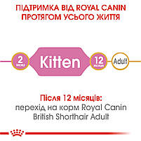 Корм для кошенят породи Британська короткошерста ROYAL CANIN KITTEN BRITISH SHORTHAIR 2.0 кг, фото 6
