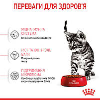 Сухий корм для стерилізованих кошенят від 6 до 12 місяців ROYAL CANIN KITTEN STERILISED 2,0 кг, фото 4