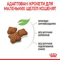 Корм для стерилізованих кошенят ROYAL CANIN KITTEN STERILISED 2.0 кг, фото 7