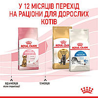 Сухий корм для стерилізованих кошенят від 6 до 12 місяців ROYAL CANIN KITTEN STERILISED 2,0 кг, фото 9