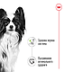 Вологий корм для дорослих собак ROYAL CANIN XSMALL ADULT IN GRAVY 0.085 кг, 0.085 кг, фото 3