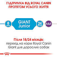 Корм для молодих собак гігантських порід ROYAL CANIN GIANT JUNIOR (джуніор) 15.0 кг, 15 кг, фото 5