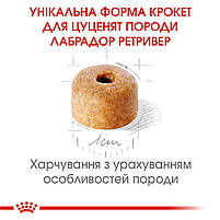 Корм для цуценят породи Лабрадор ретривер ROYAL CANIN LABRADOR PUPPY 12.0 кг, фото 3