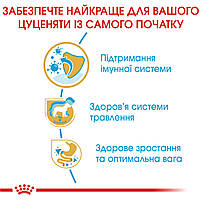 Корм для цуценят породи Лабрадор ретривер ROYAL CANIN LABRADOR PUPPY 12.0 кг, фото 4