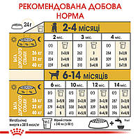 Корм для цуценят породи Лабрадор ретривер ROYAL CANIN LABRADOR PUPPY 12.0 кг, фото 7