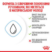 Молоко для новонароджених собак ROYAL CANIN BABYDOG MILK 2 кг, 2 кг, фото 4