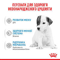 Молоко для новонароджених собак ROYAL CANIN BABYDOG MILK 2 кг, 2 кг, фото 5