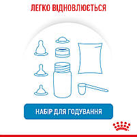 Молоко для новонароджених собак ROYAL CANIN BABYDOG MILK 2 кг, 2 кг, фото 6