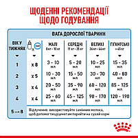 Молоко для новонароджених собак ROYAL CANIN BABYDOG MILK 2 кг, 2 кг, фото 7