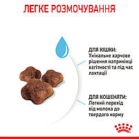 Корм для кошенят віком від 1 до 4 місяців і кішок під час вагітності ROYAL CANIN MOTHER&BABYCAT 0.4 кг, фото 8