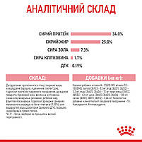 Корм для кошенят віком від 1 до 4 місяців і кішок під час вагітності ROYAL CANIN MOTHER&BABYCAT 0.4 кг, фото 10