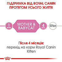 Вологий корм (мус) для кошенят віком від 1 до 4 місяців ROYAL CANIN MOTHER & BABYCAT Cans 0.195 кг, 0.195 кг, фото 4