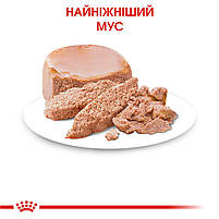 Вологий корм (мус) для кошенят віком від 1 до 4 місяців ROYAL CANIN MOTHER & BABYCAT Cans 0.195 кг, 0.195 кг, фото 5