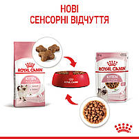 Вологий корм для кошенят (шматочки у соусі) ROYAL CANIN KITTEN IN GRAVY 0.085 кг, у паучах, 0.085 кг, фото 7