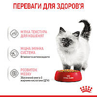 Вологий корм для кошенят ROYAL CANIN KITTEN IN JELLY 0.085 кг, 0.085 кг, фото 4