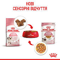 Вологий корм для кошенят ROYAL CANIN KITTEN IN JELLY 0.085 кг, 0.085 кг, фото 6
