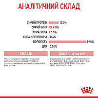 Вологий корм для кошенят ROYAL CANIN KITTEN IN JELLY 0.085 кг, 0.085 кг, фото 7